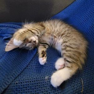 Meet your Posher, Jenny